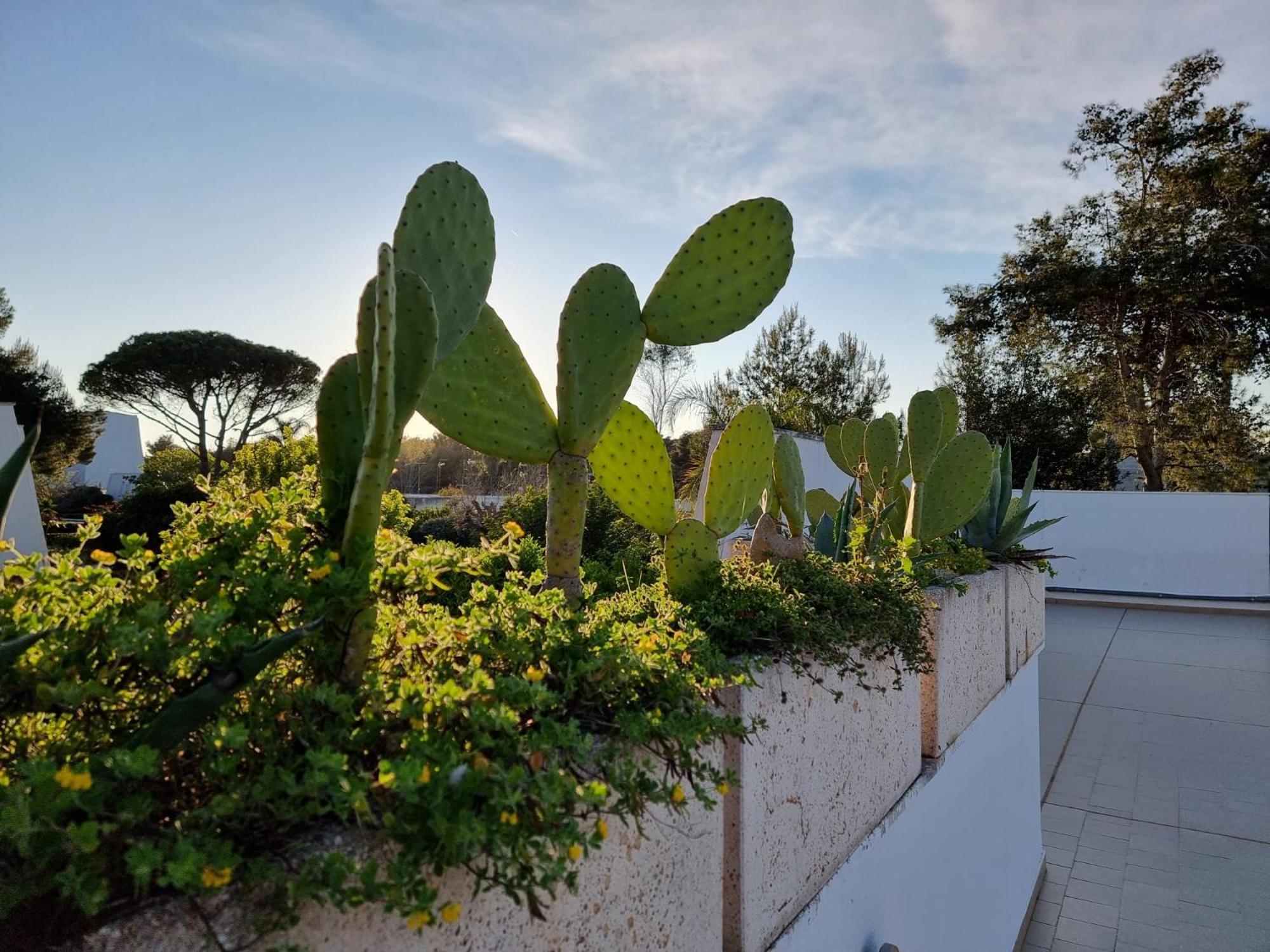 Villa 73059 Ugento Exterior foto
